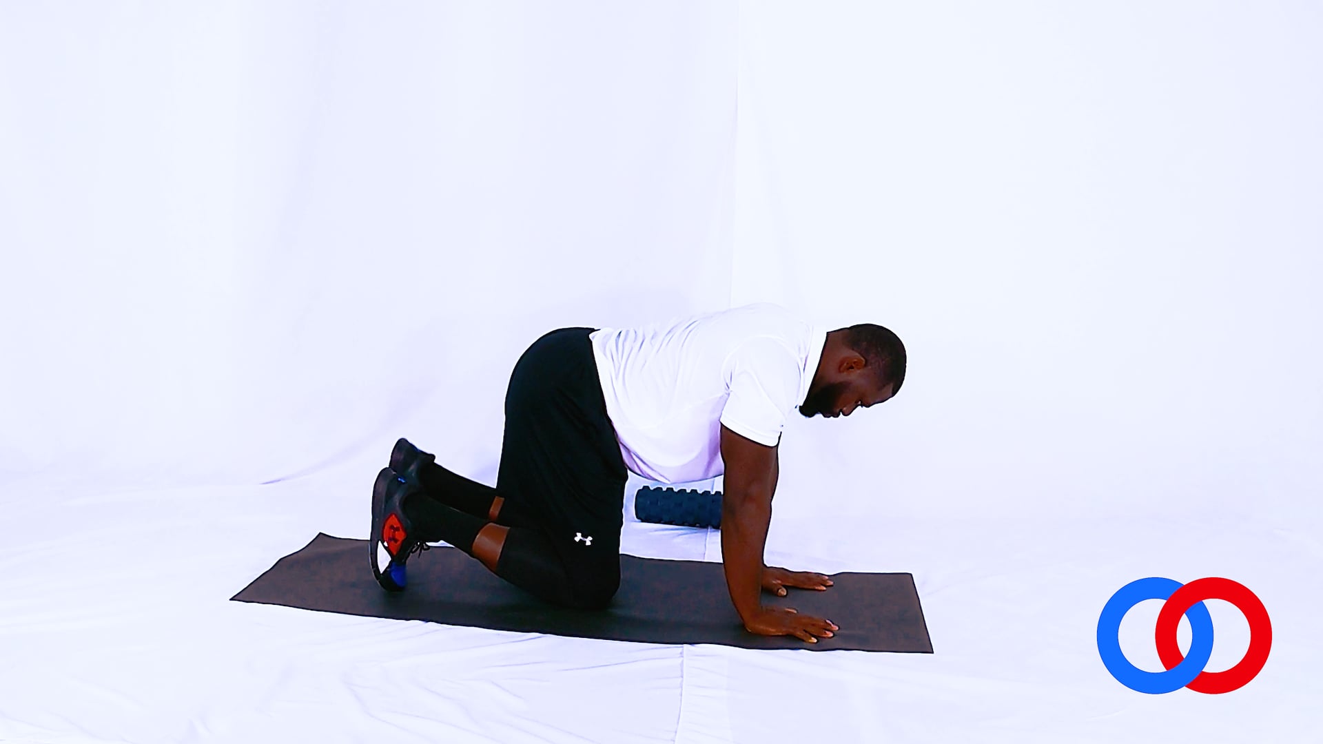 Bird Dog -Alternate 90 degree leg lift