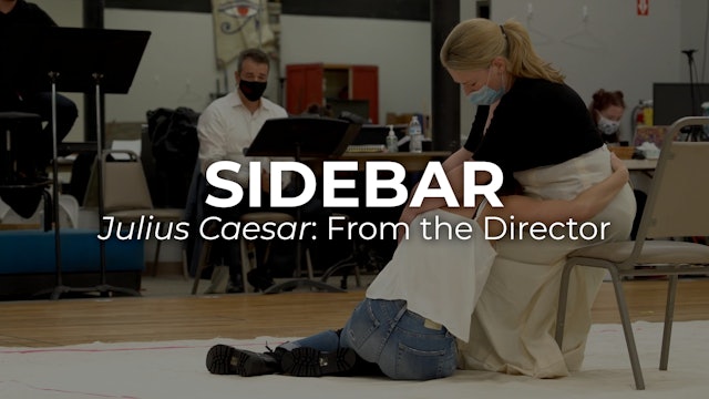 SIDEBAR Julius Caesar: From the Director