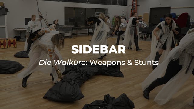 SIDEBAR | Die Walküre: Weapons & Stunts