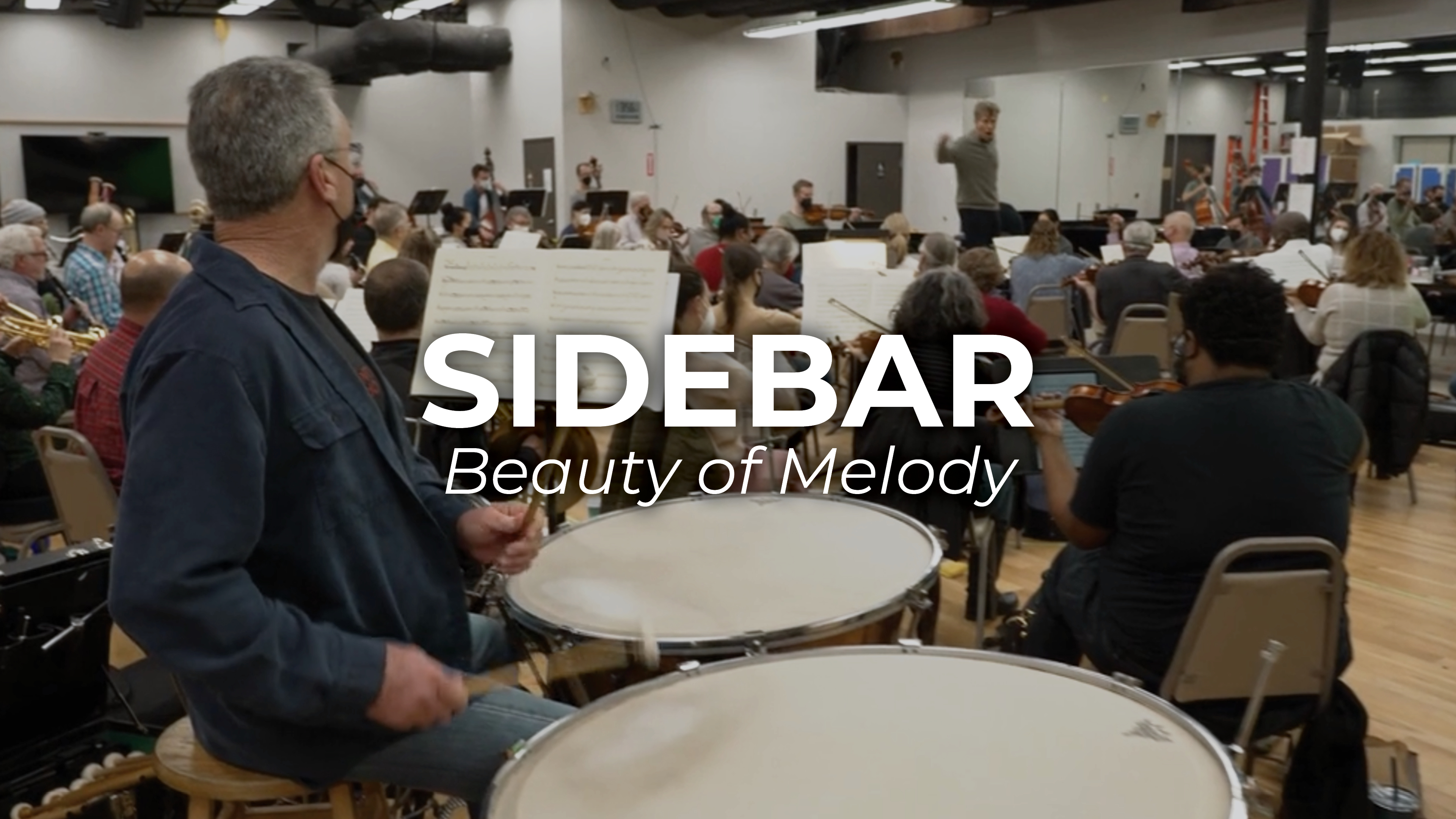 SIDEBAR Don Giovanni: The Beauty of Music