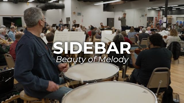 SIDEBAR Don Giovanni: The Beauty of M...