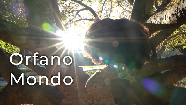 Orfano Mondo - Chapter 7 - Hello?
