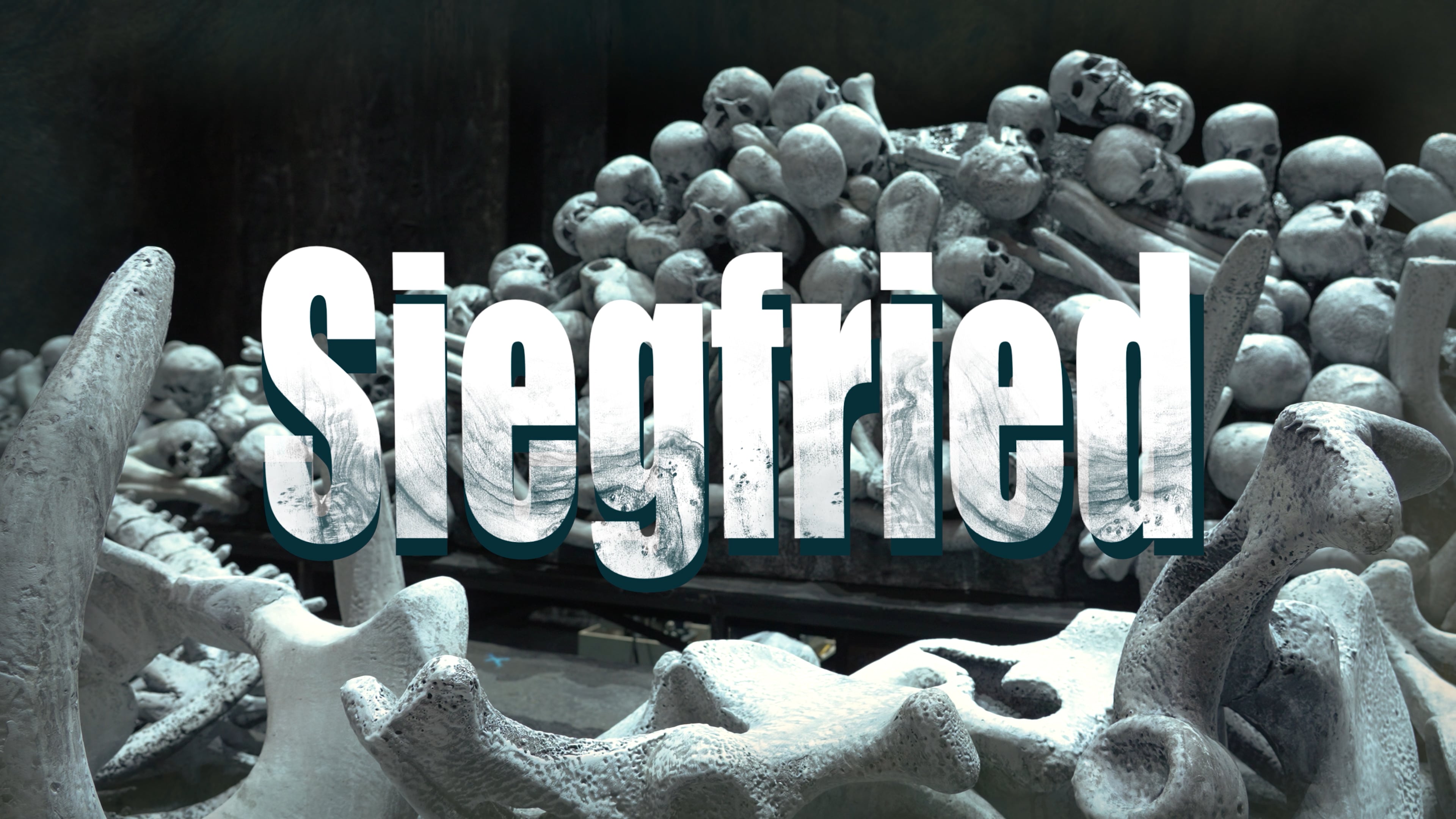 Siegfried Backstage Video (With Music)