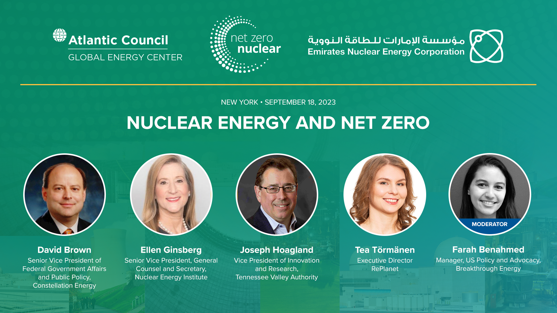 Nuclear energy and net zero