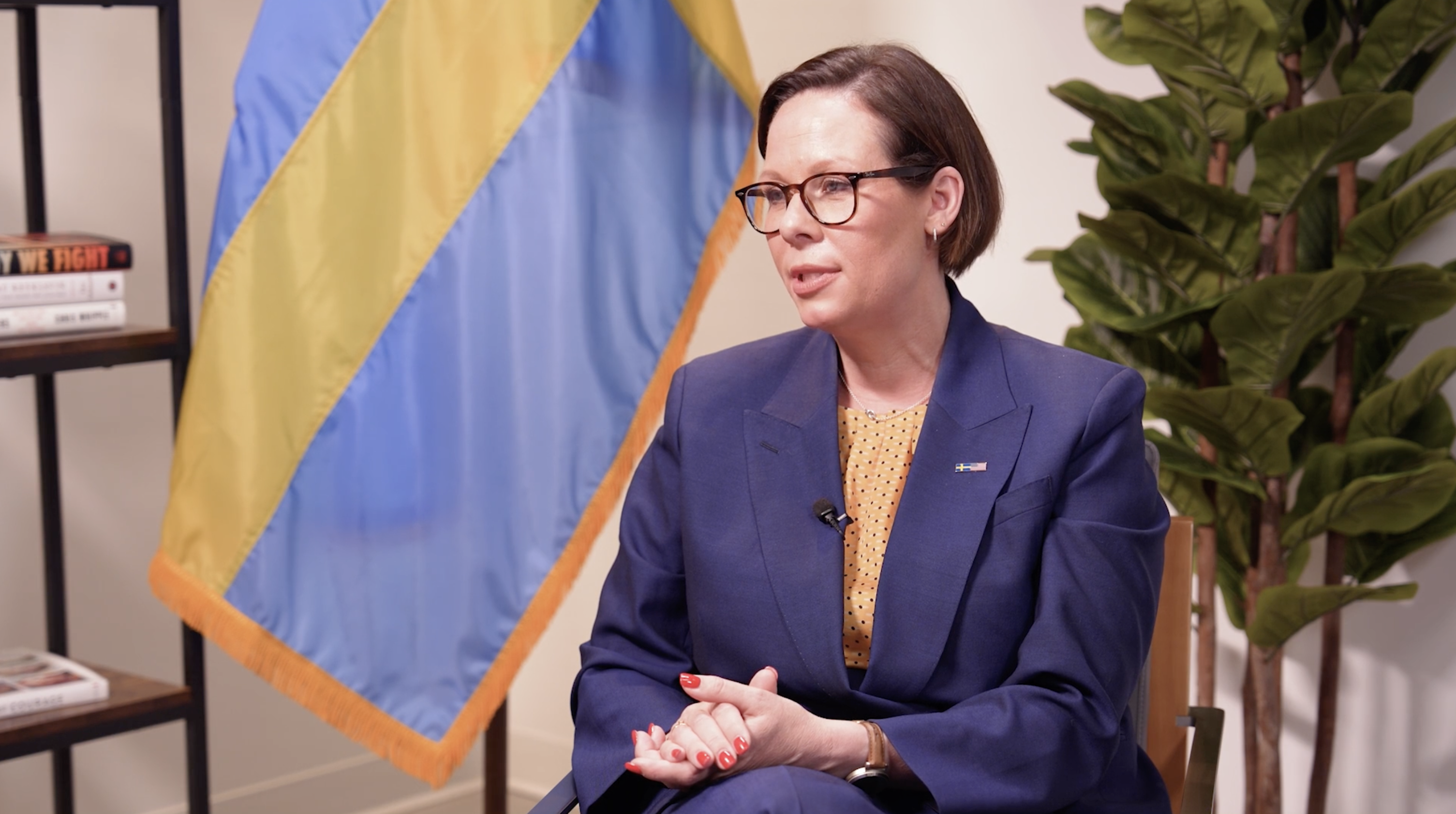 Maria Malmer Stenergard on 2025 NATO Summit