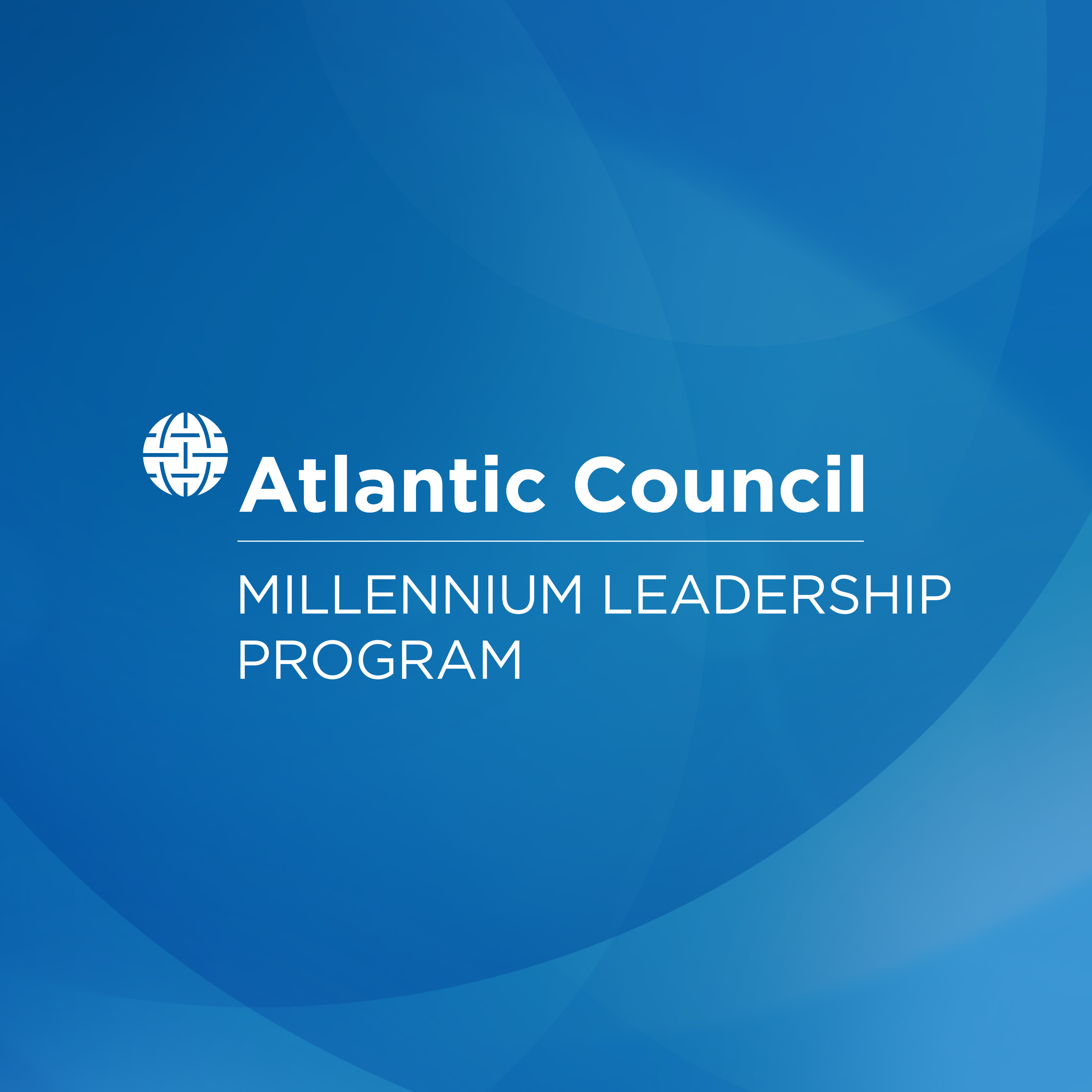 Millennium Leadership Program