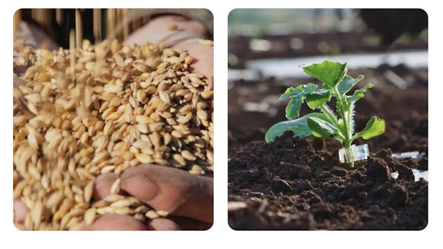 The Future of Food in the Americas: A...