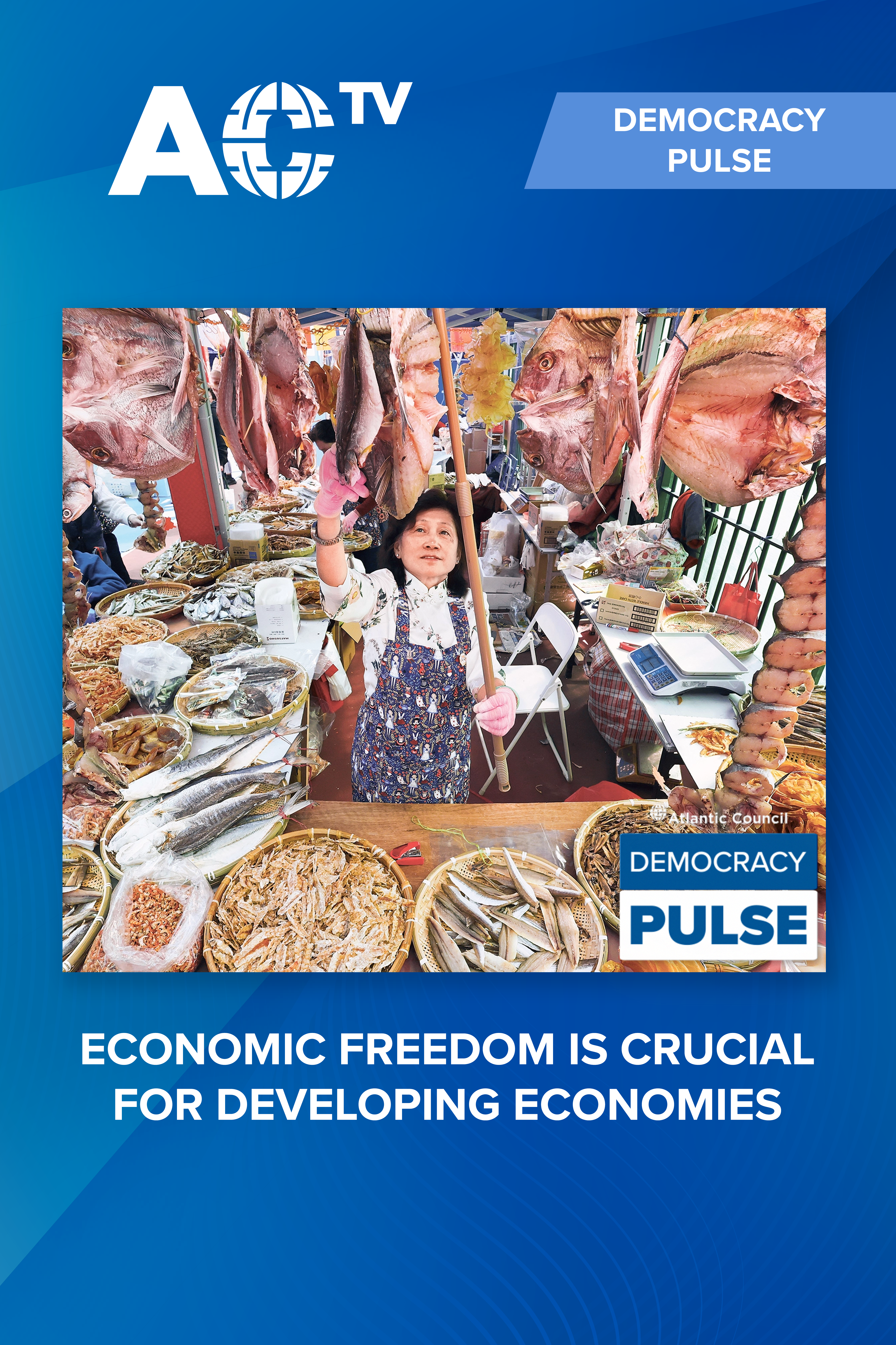 Trade and investment freedom are crucial for developing economies