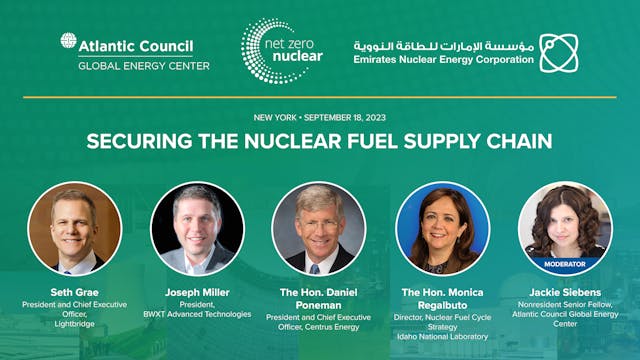 Securing the nuclear fuel supply chain