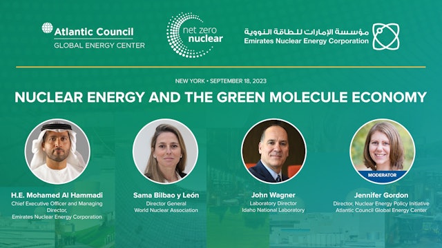 Nuclear energy and the green molecule economy
