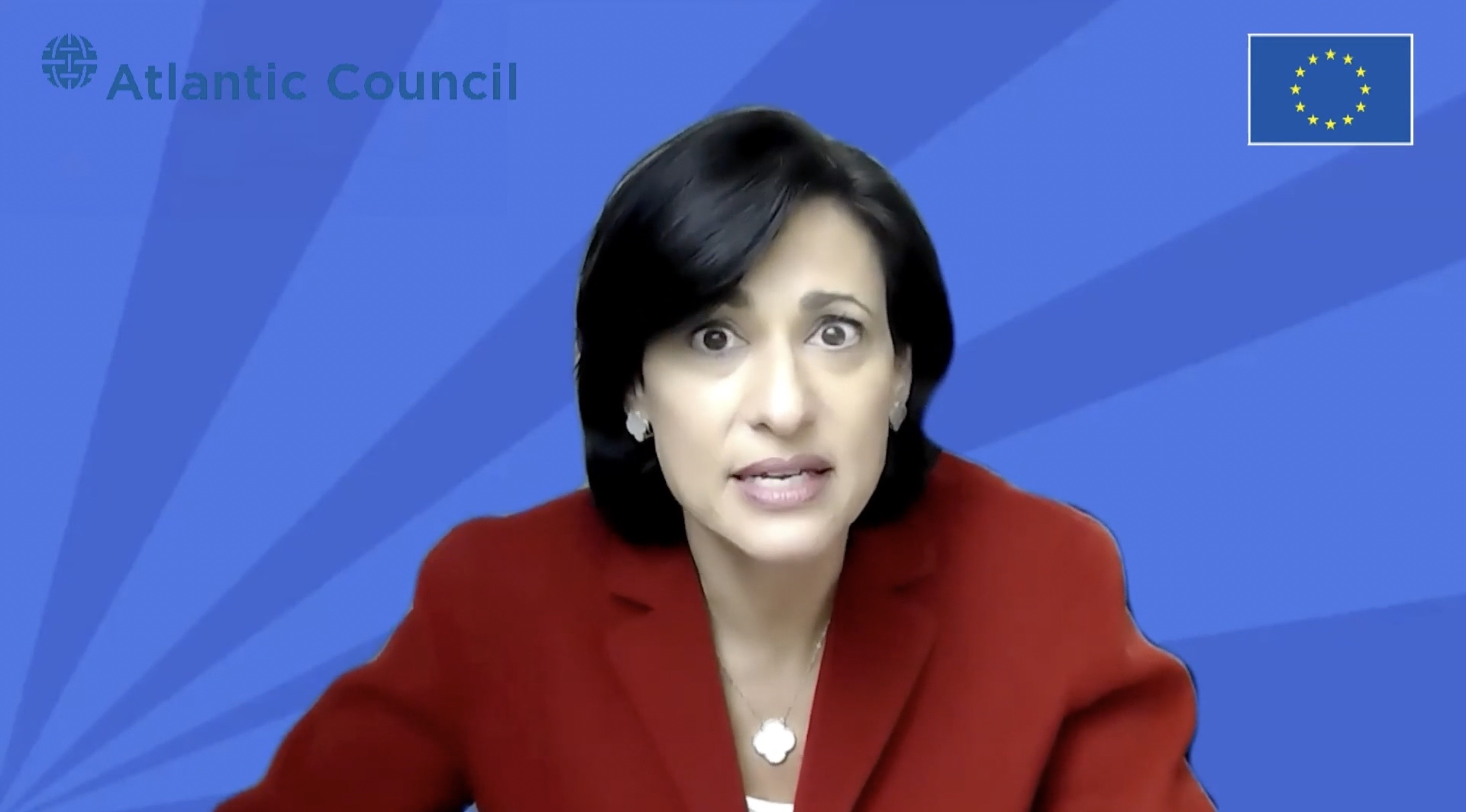 Transatlantic Cooperation: Vaccine Development | 2021 EU-US Future Forum