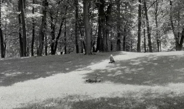 THE OLD JEWISH CEMETERY. A film by Sergei Loznitsa