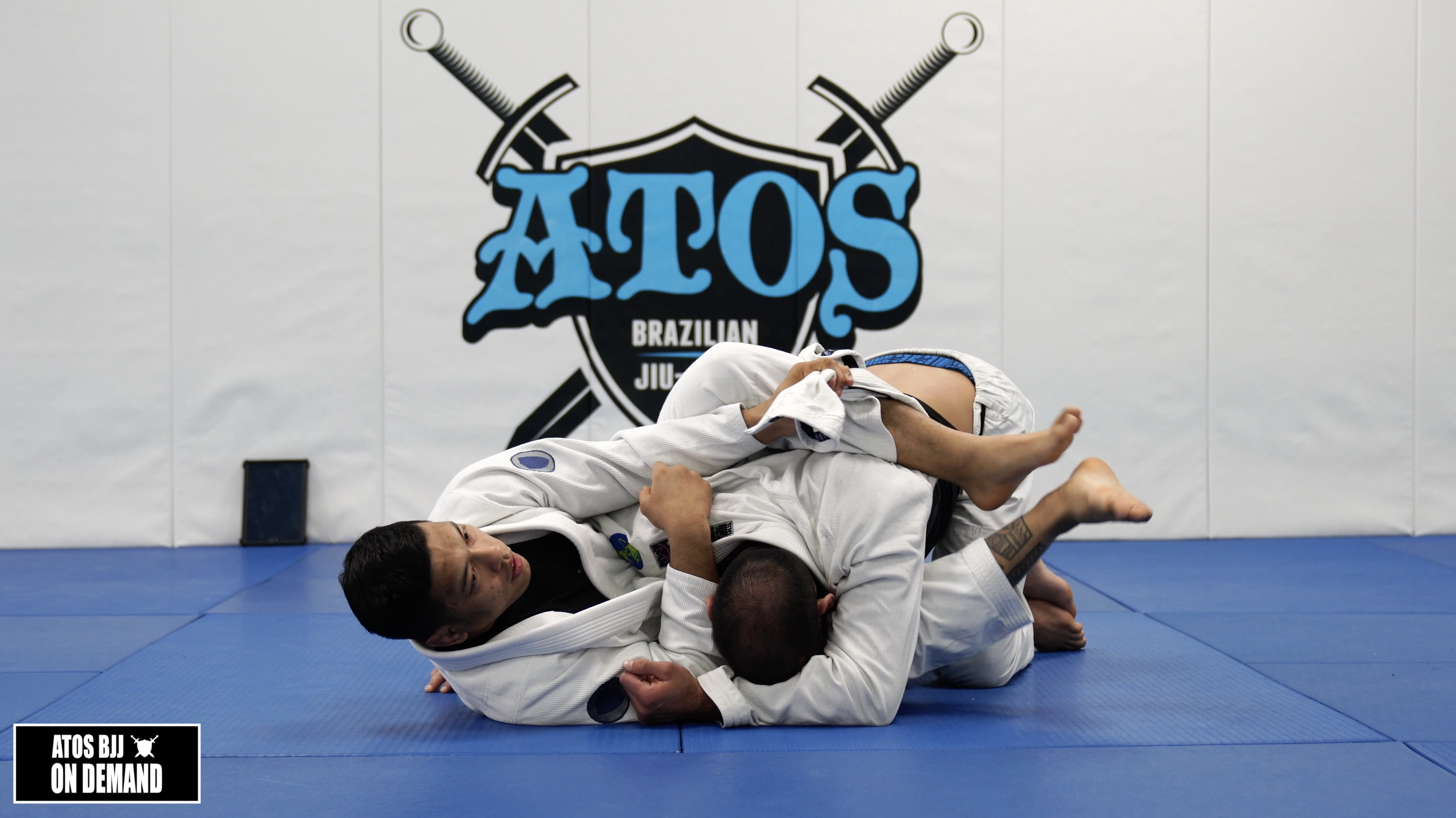 Gubber Guard to Omoplata