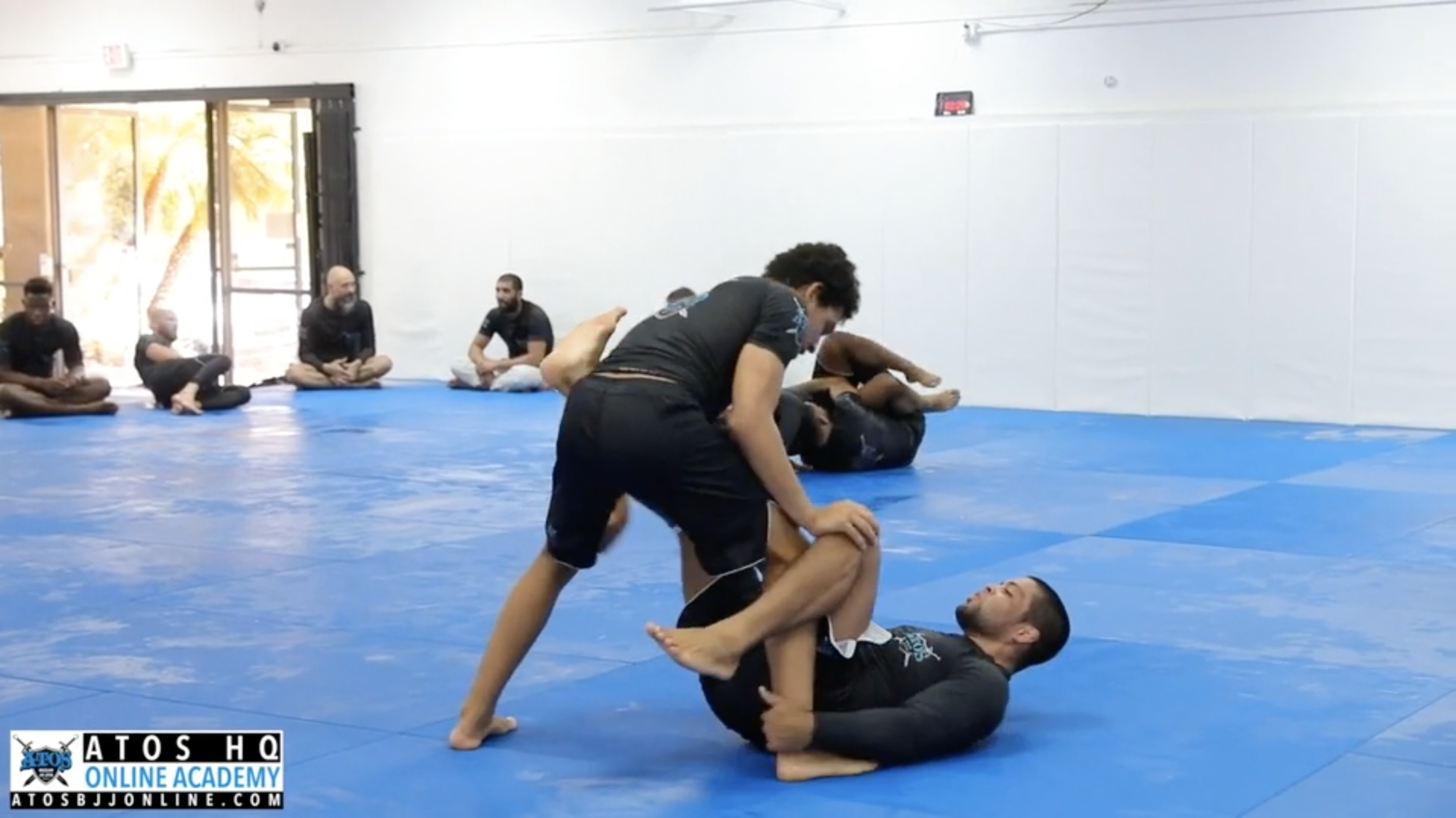 Andre Galvao vs Kade Ruotolo