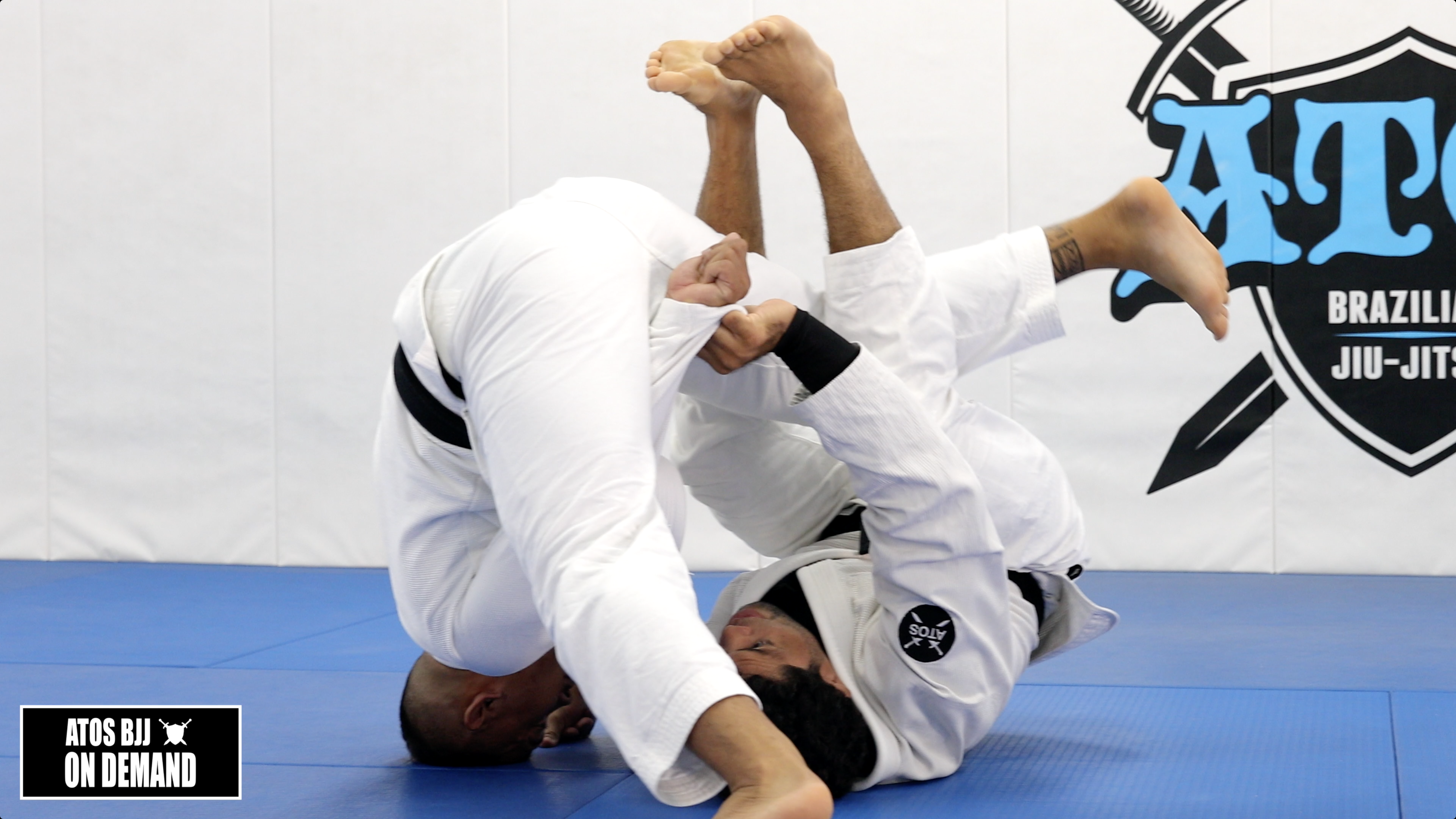 Classic Collar & Sleeve Kiss of the Dragon