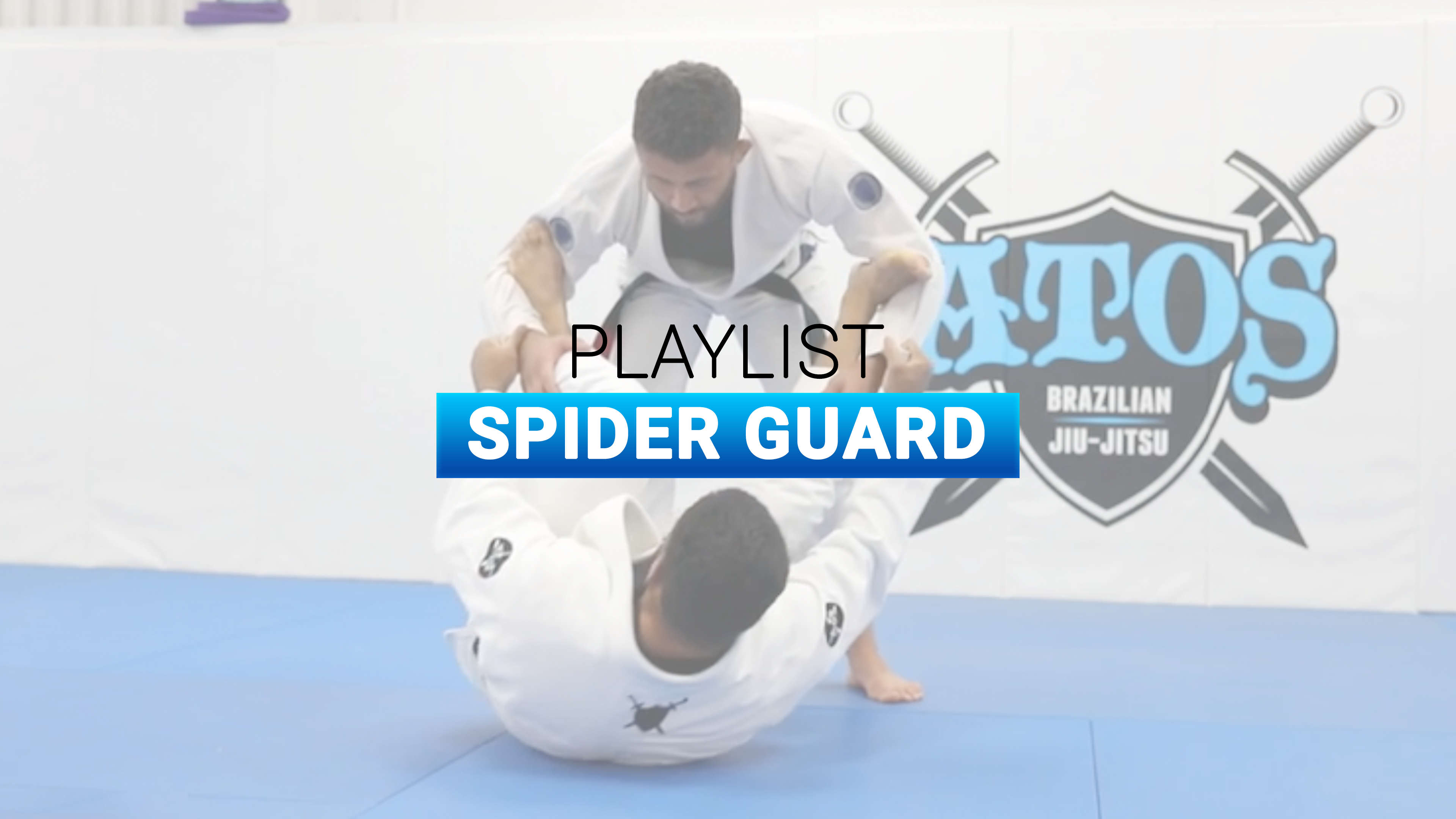 Spider Guard