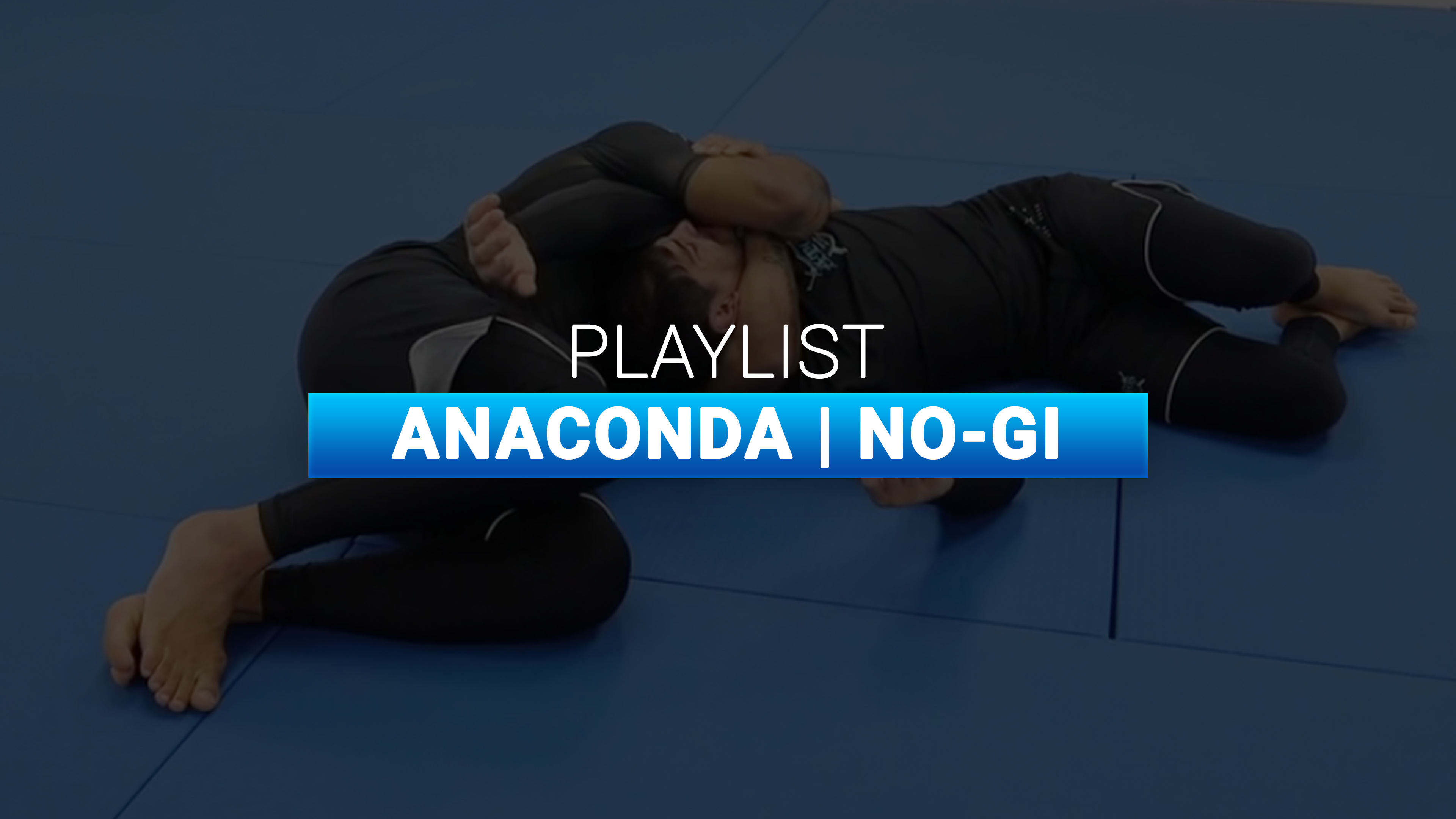 Anaconda | No-Gi