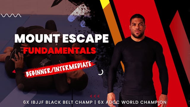 Mount Escape Fundamentals Course | Andre Galvao
