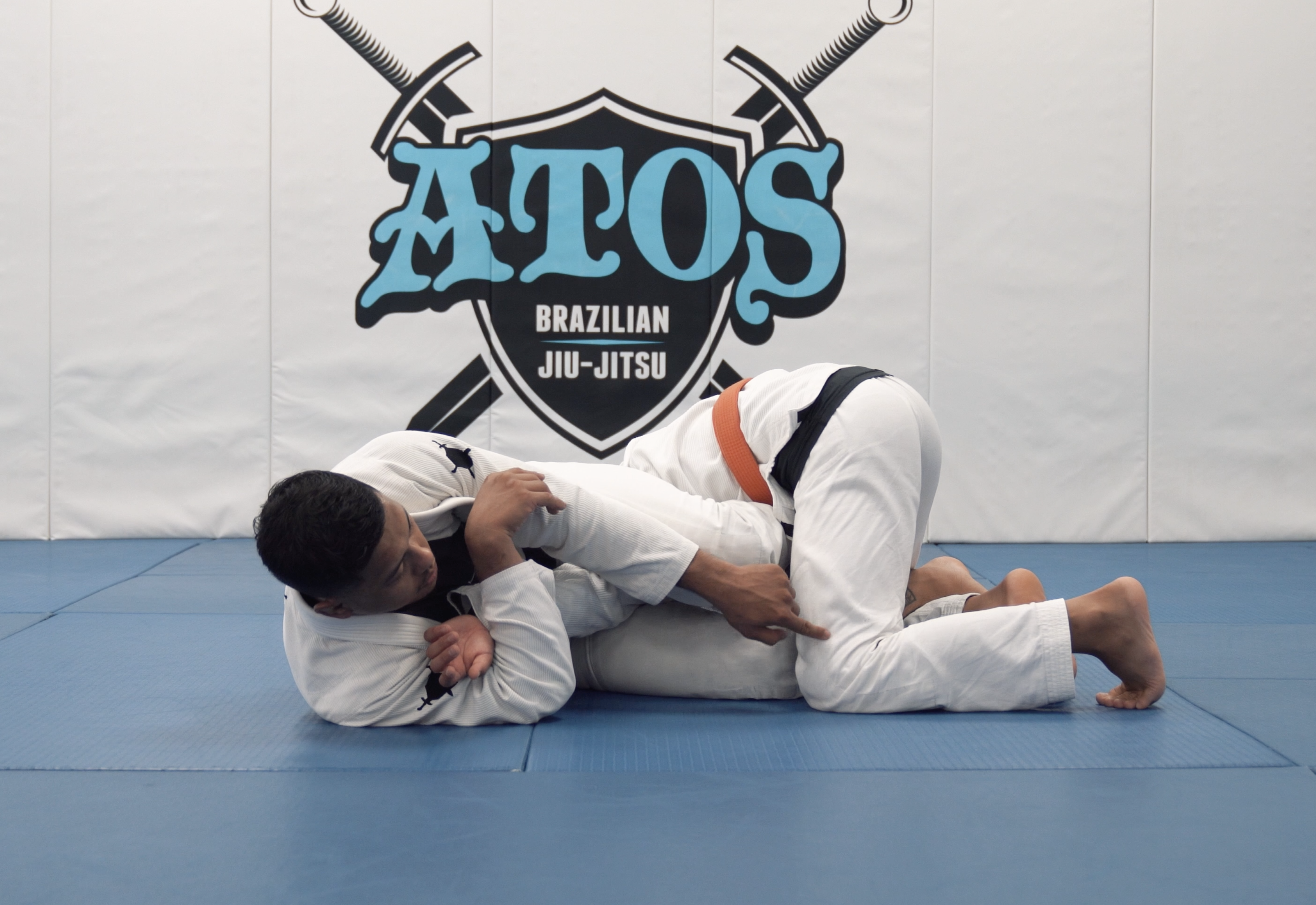 Countering Crazy Dog With Choi Bar | Part 2