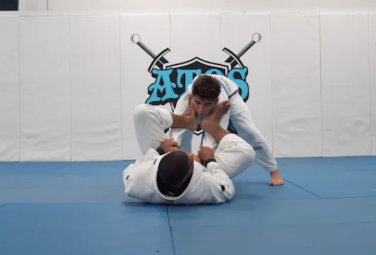 Double Sleeve Guard Control