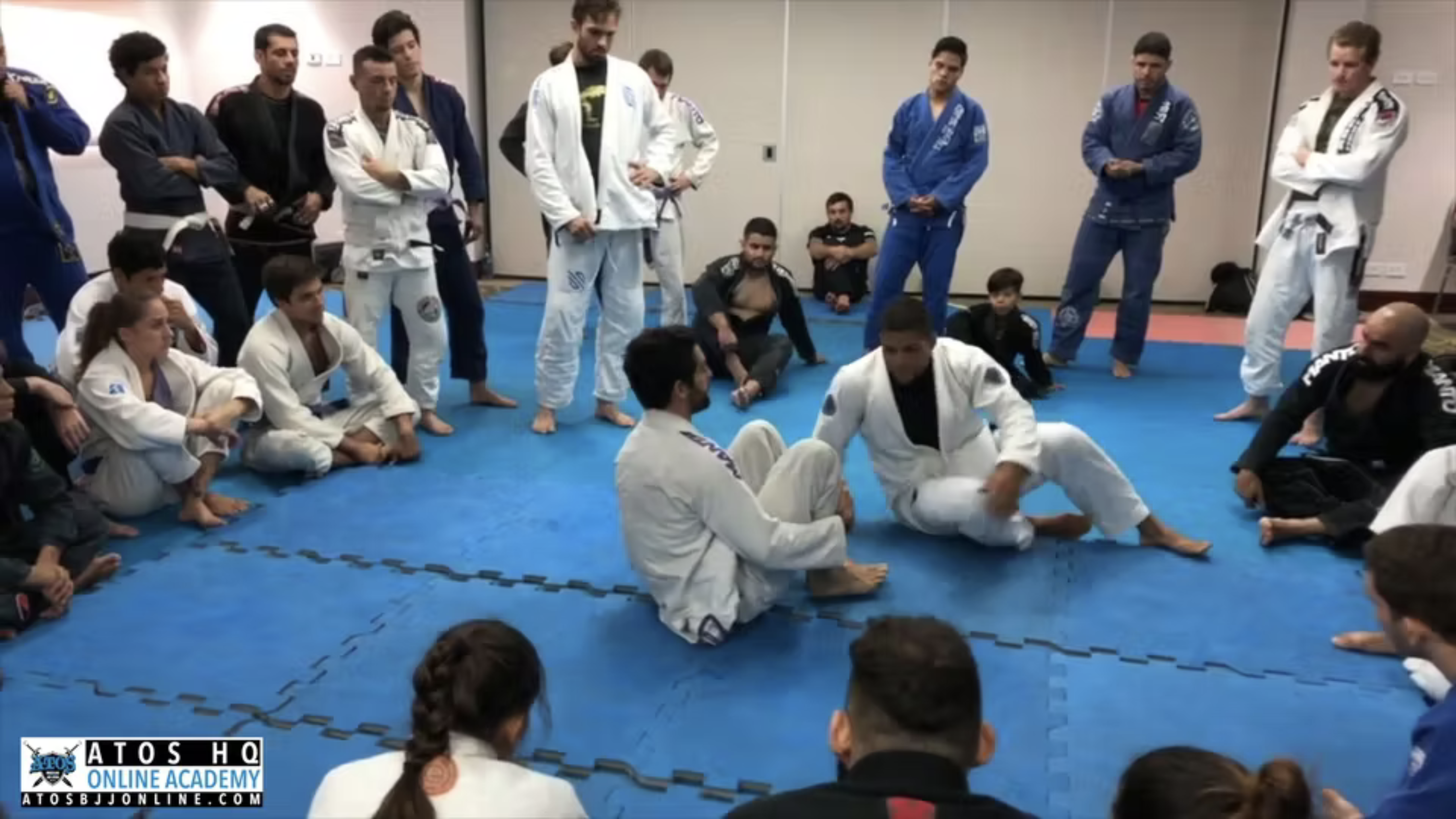 Passing Inverted DLR Worm Guard