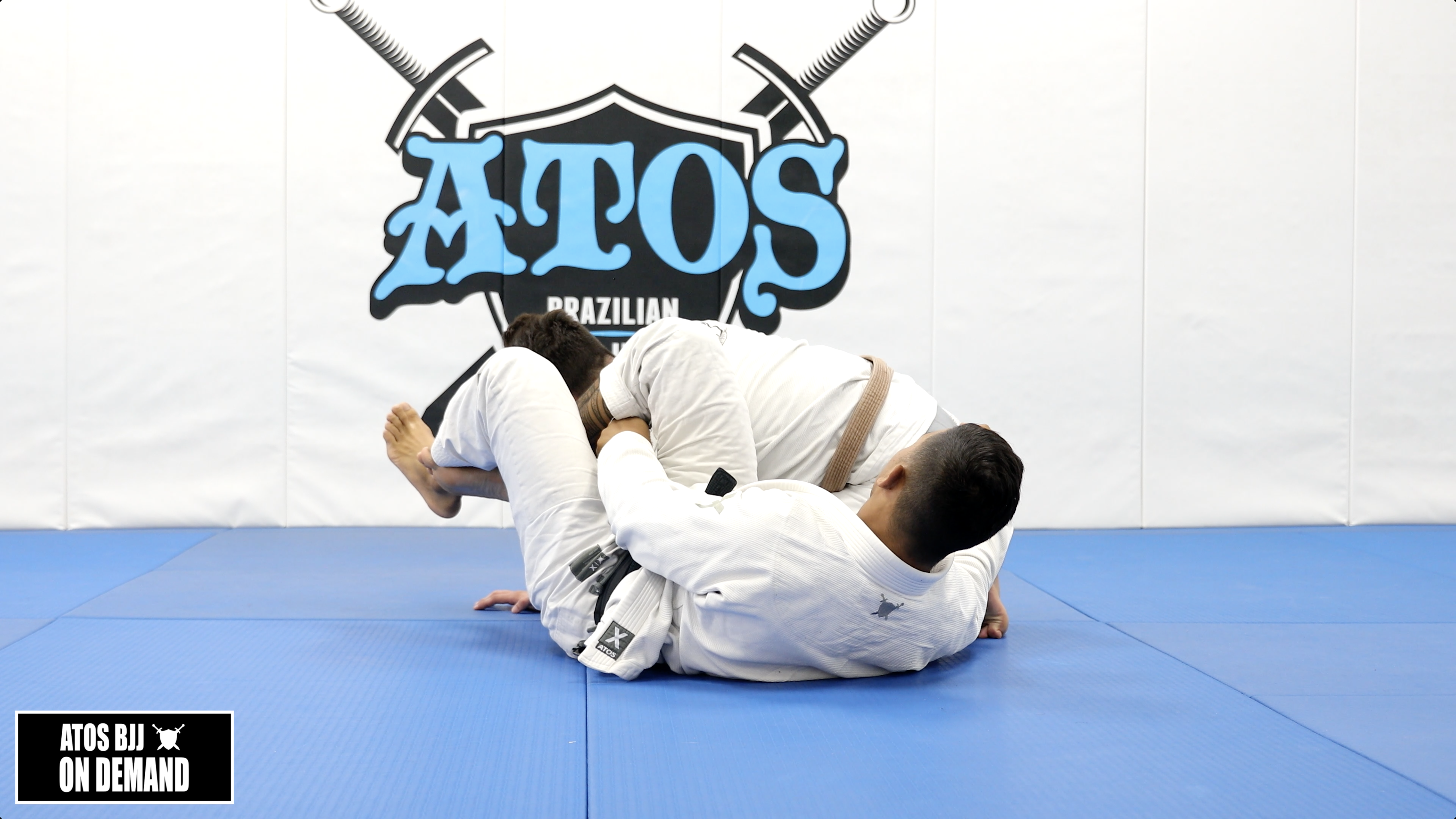 Omoplata & Triangle From Reverse DLR Guard 