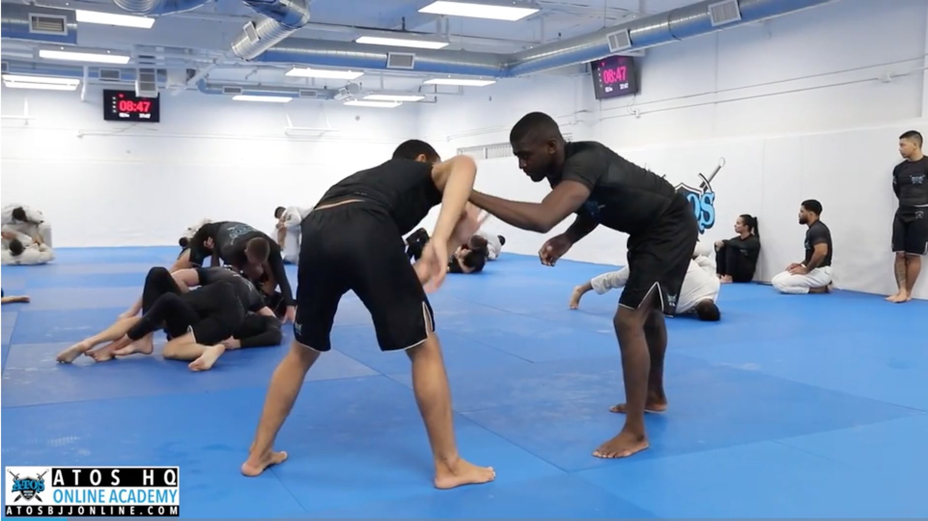 Sparring - Ronaldo Junior