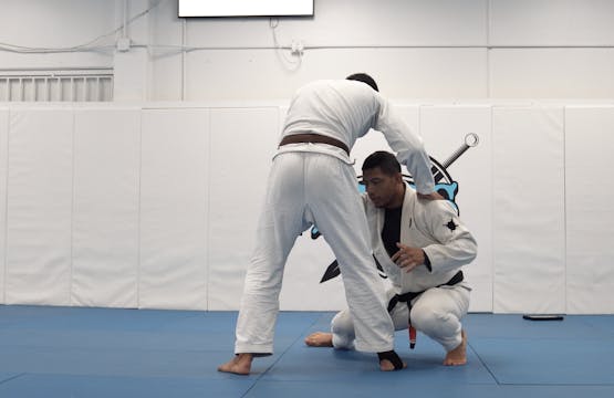 Swing Single Leg Takedowns