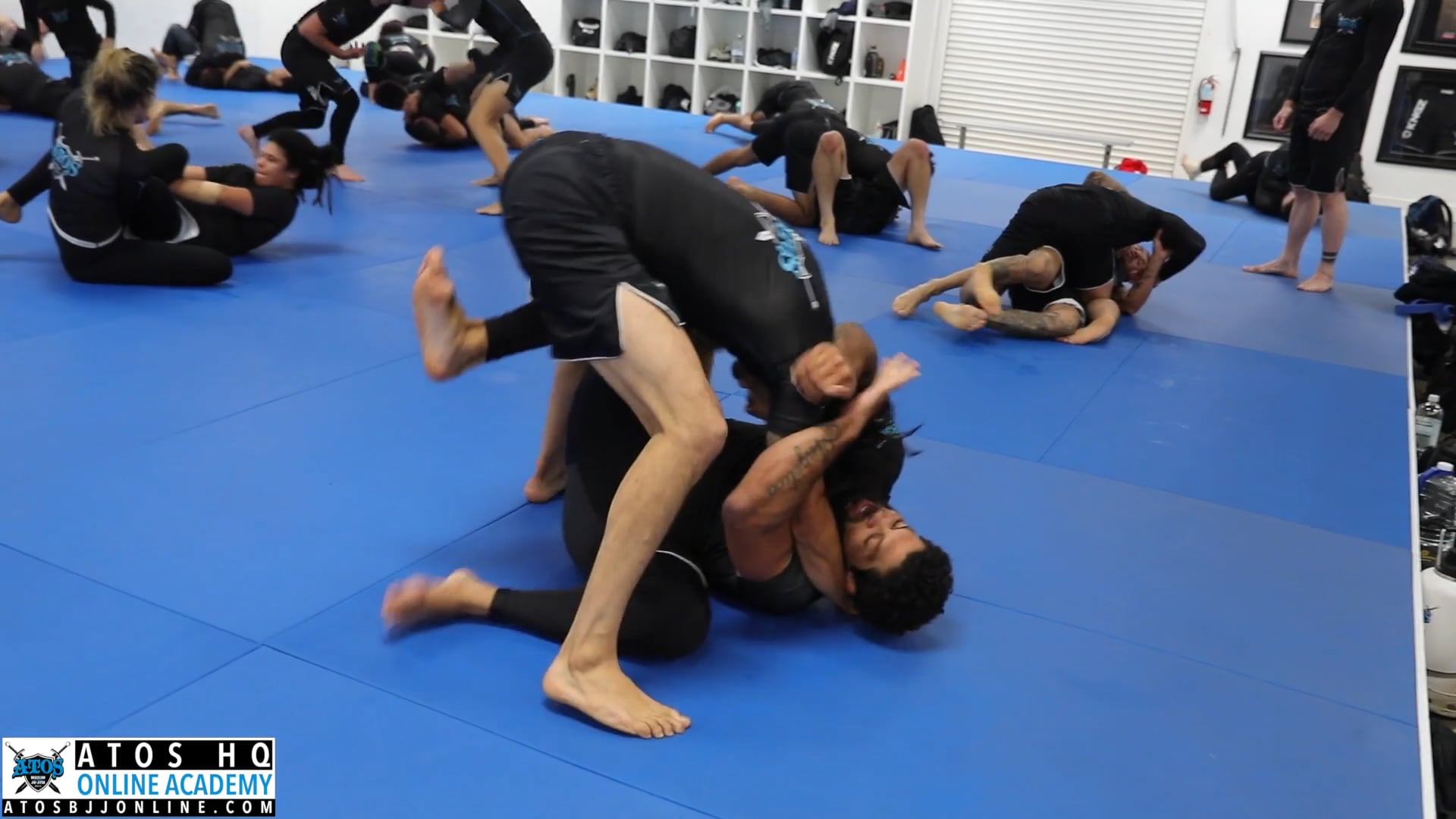 Andre Galvao vs Black Belt