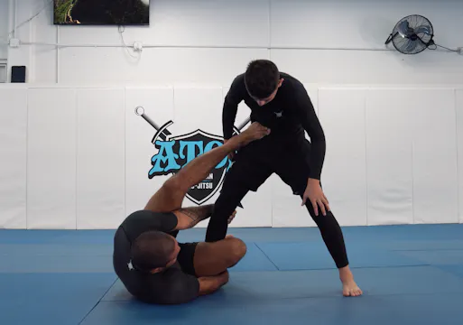 Reverse DLR Pendulum Sweep to Anacond...