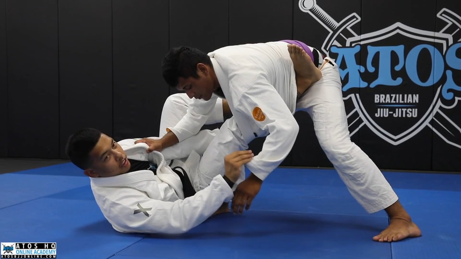 DLR-X Worm Guard Sweep