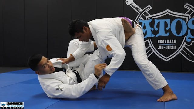 DLR-X Worm Guard Sweep