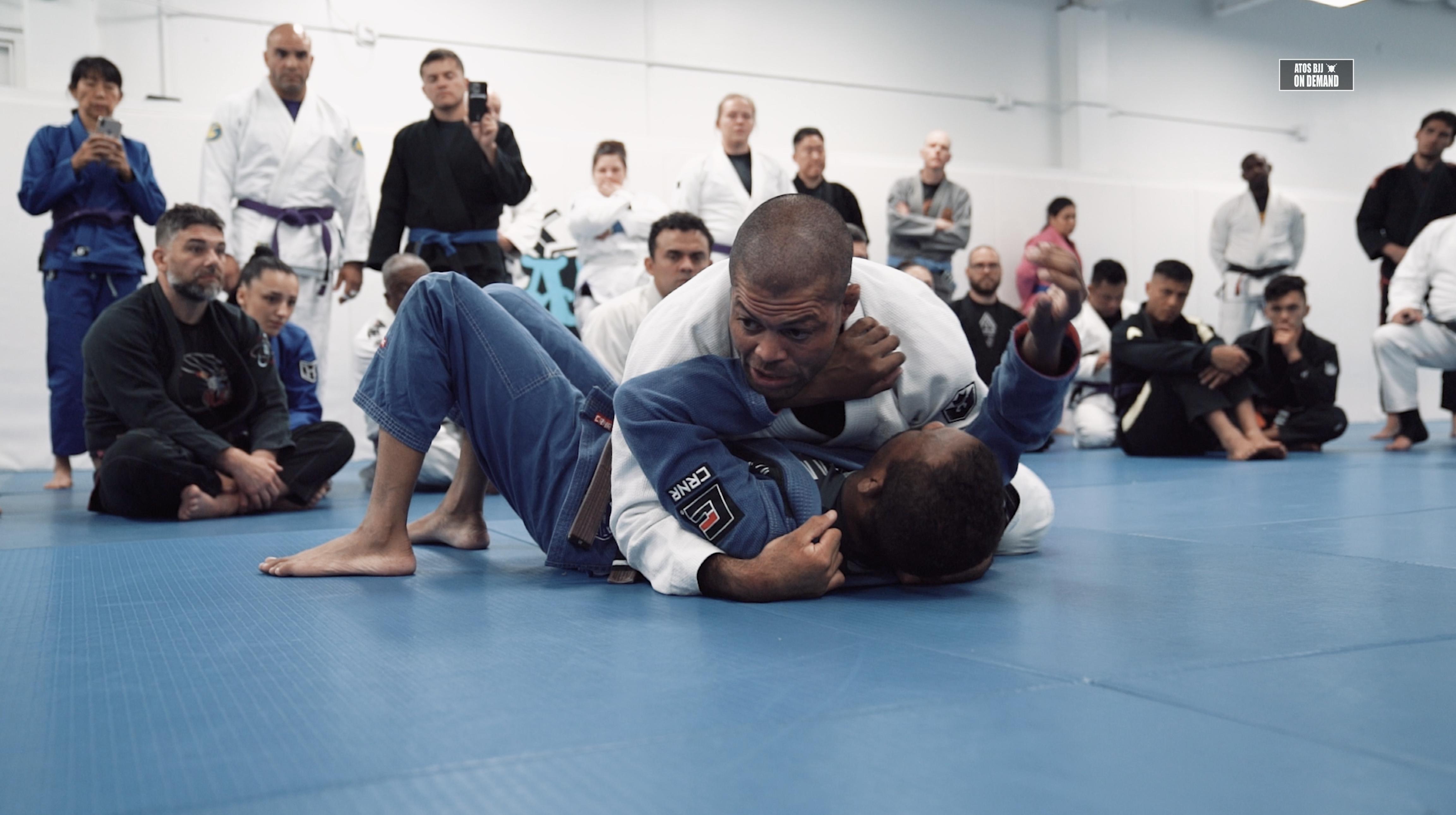 Side Control Adjusts To Mount By Professor Andre Galvao
