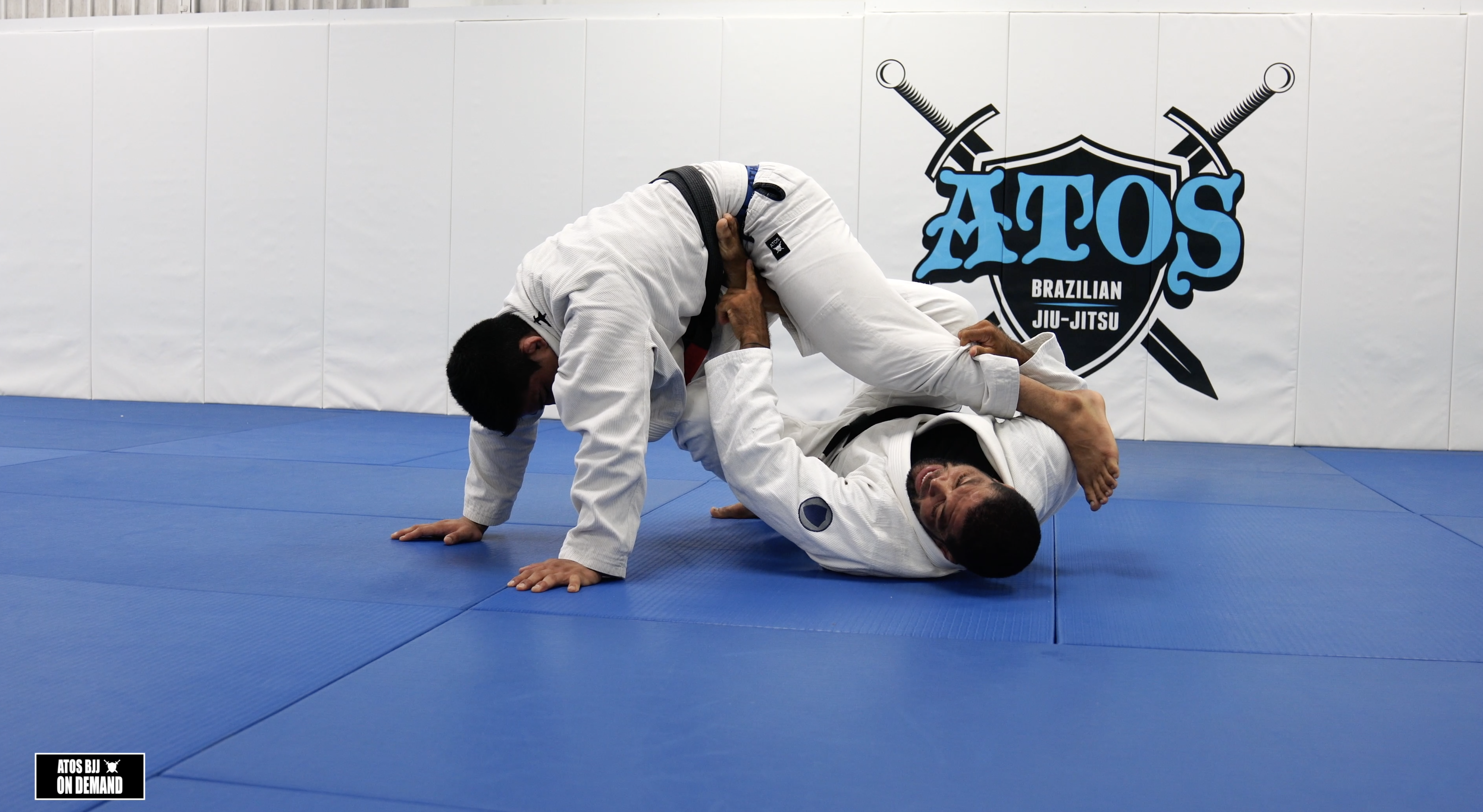 X Guard Entry from DLR