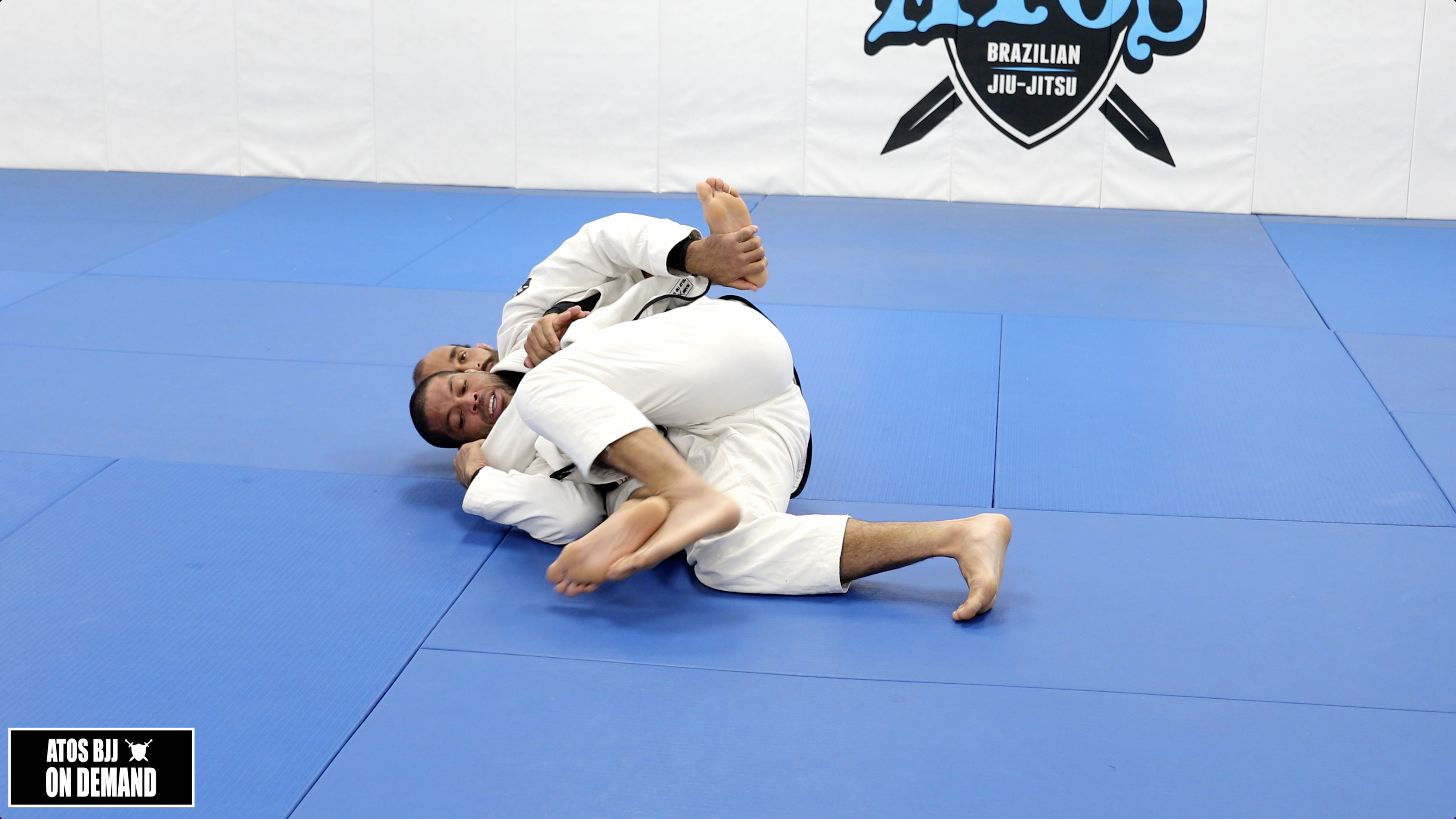 Surviving: Back Take Defenses & Escapes 