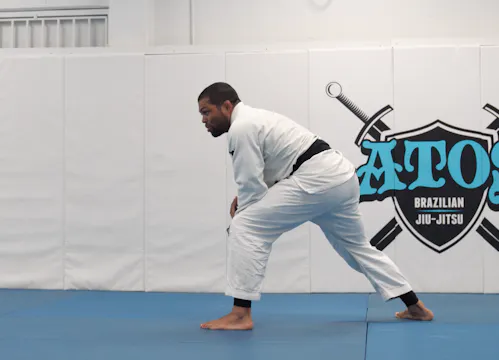 Single Leg Takedowns Reviews | Part 5