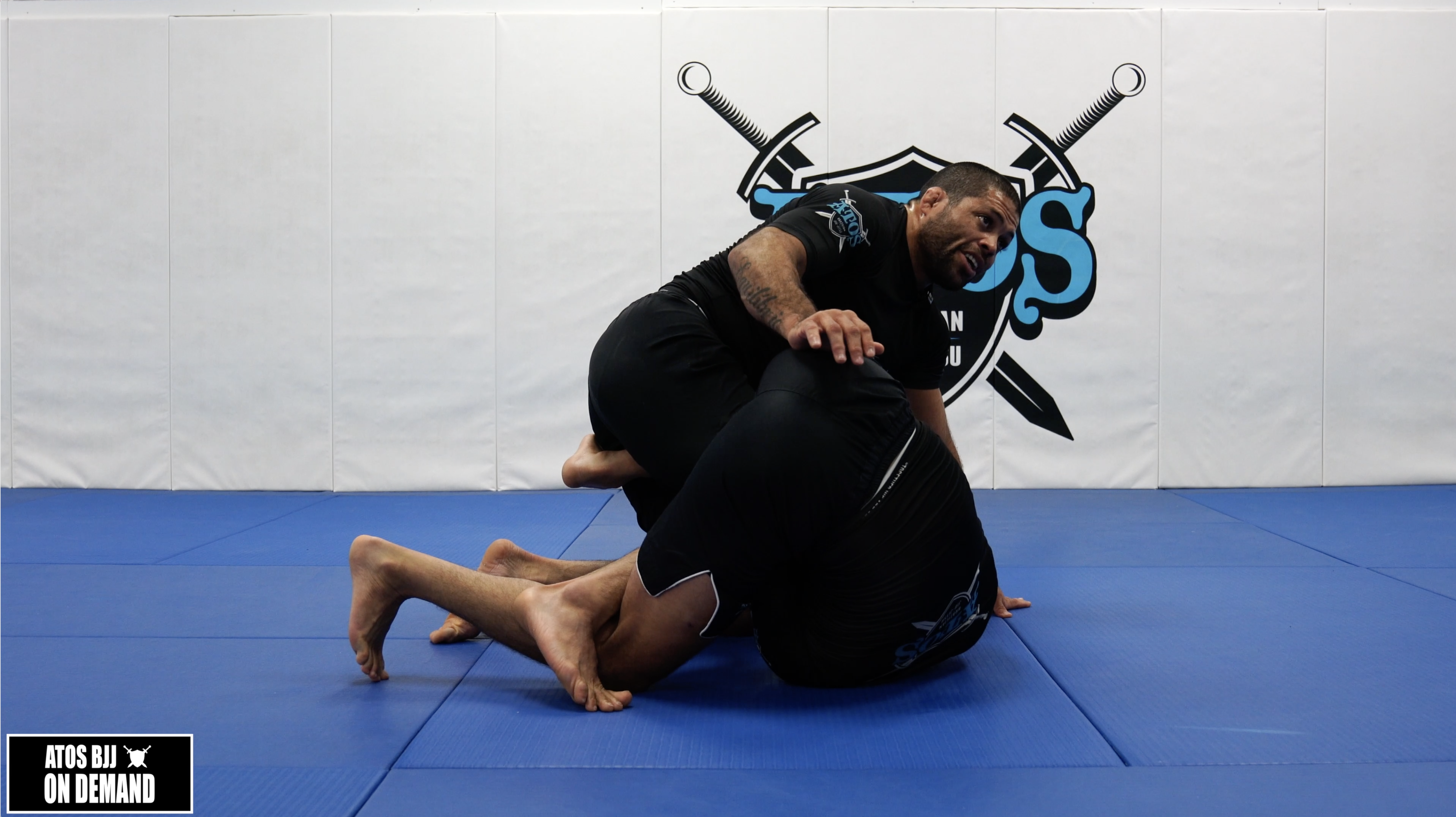 Leg Entanglements Counter Attacks