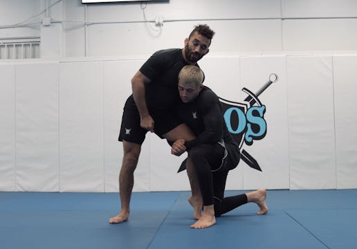Single Leg Positionals