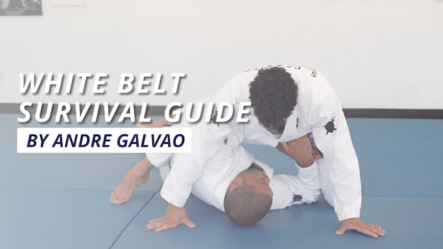 The White Belt Survival Guide by Andre Galvao