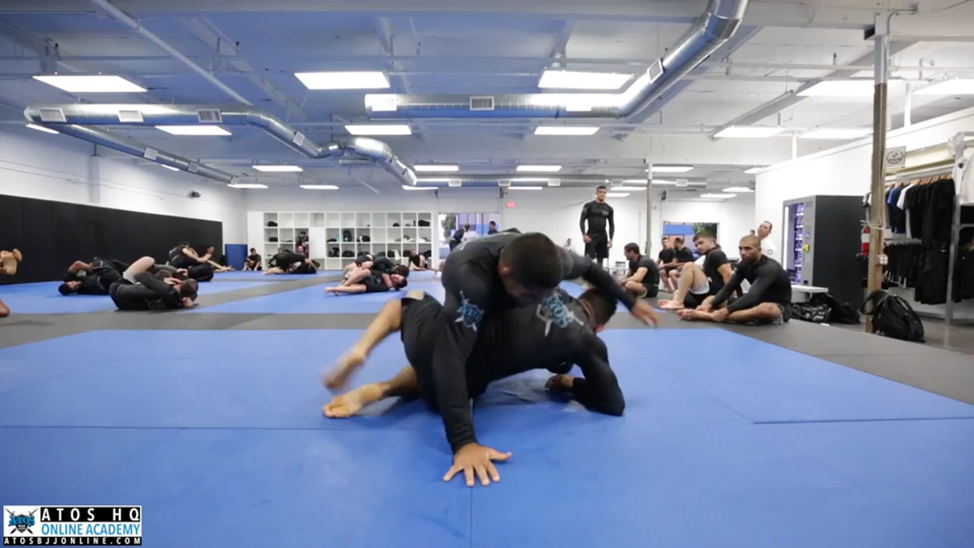 Andre Galvao vs Michael Perez 