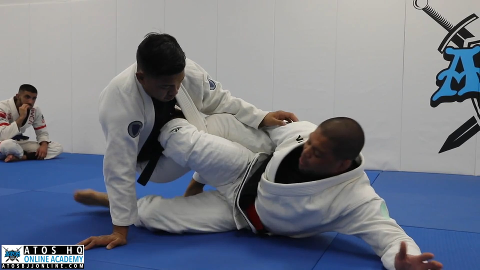 The Polish Worm Guard Sweeps & Variations - Transitions