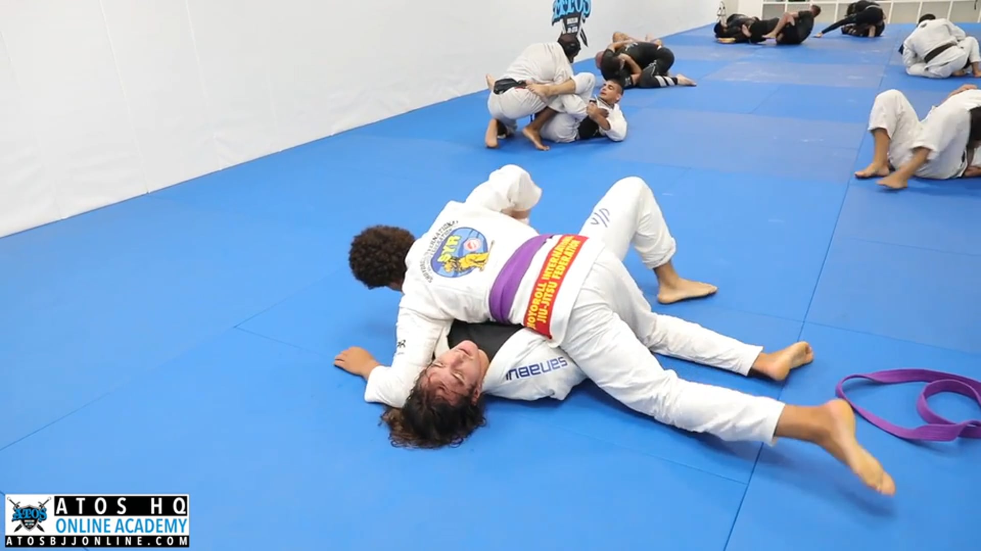 Kade Ruotolo vs Visitor