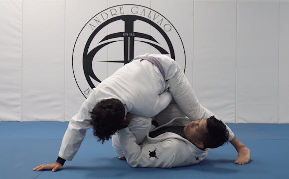 Reverse DLR to Y Guard