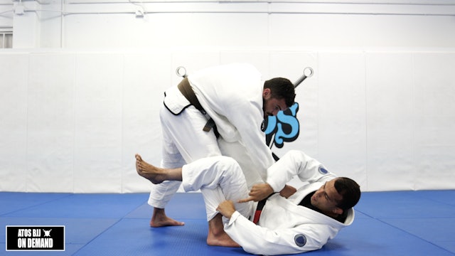 Single Leg Sweep From DLR Guard