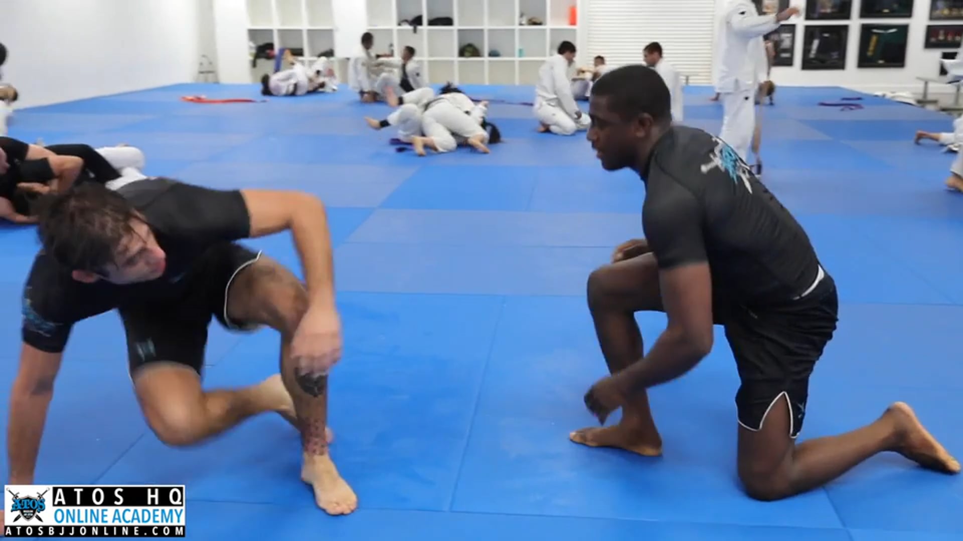 Ronaldo Jr. vs Calon Sabino (Brown)