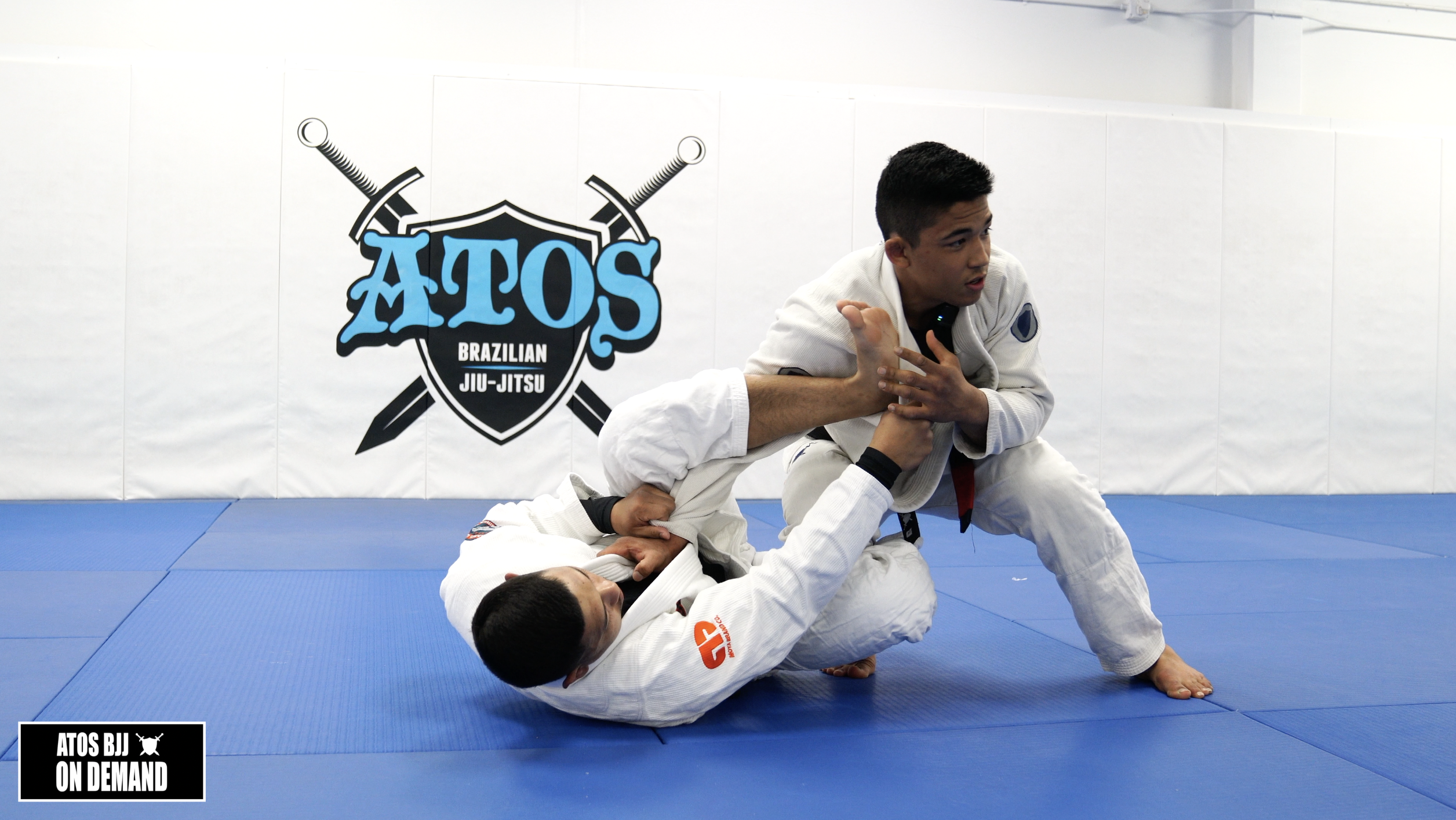 Collar & Sleeve Guard Pass Review