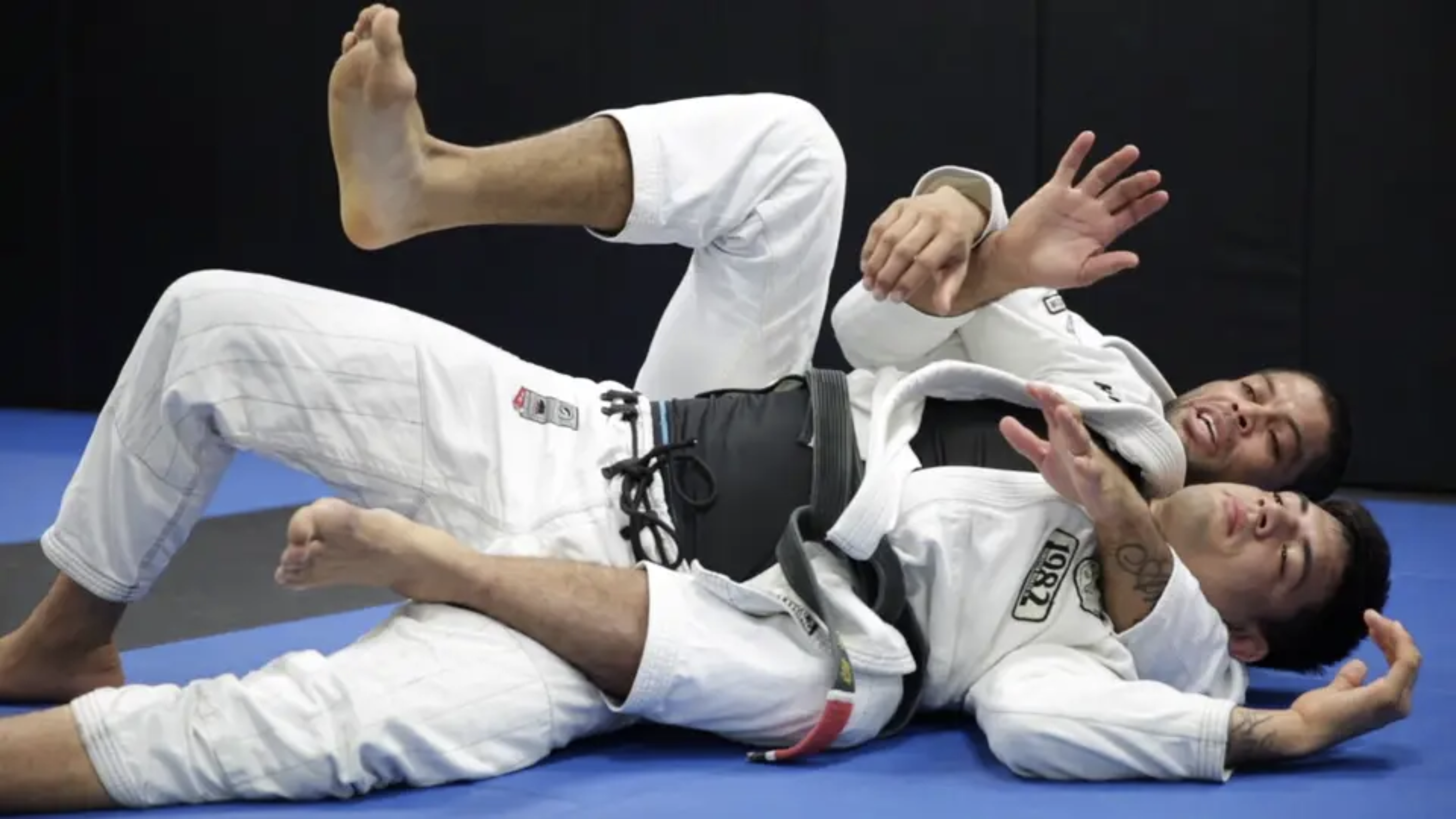 Bake Take From the Turtle When Your Partner Turns  