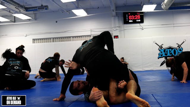 Andre Galvao vs Matheus Alarcao (Brow...