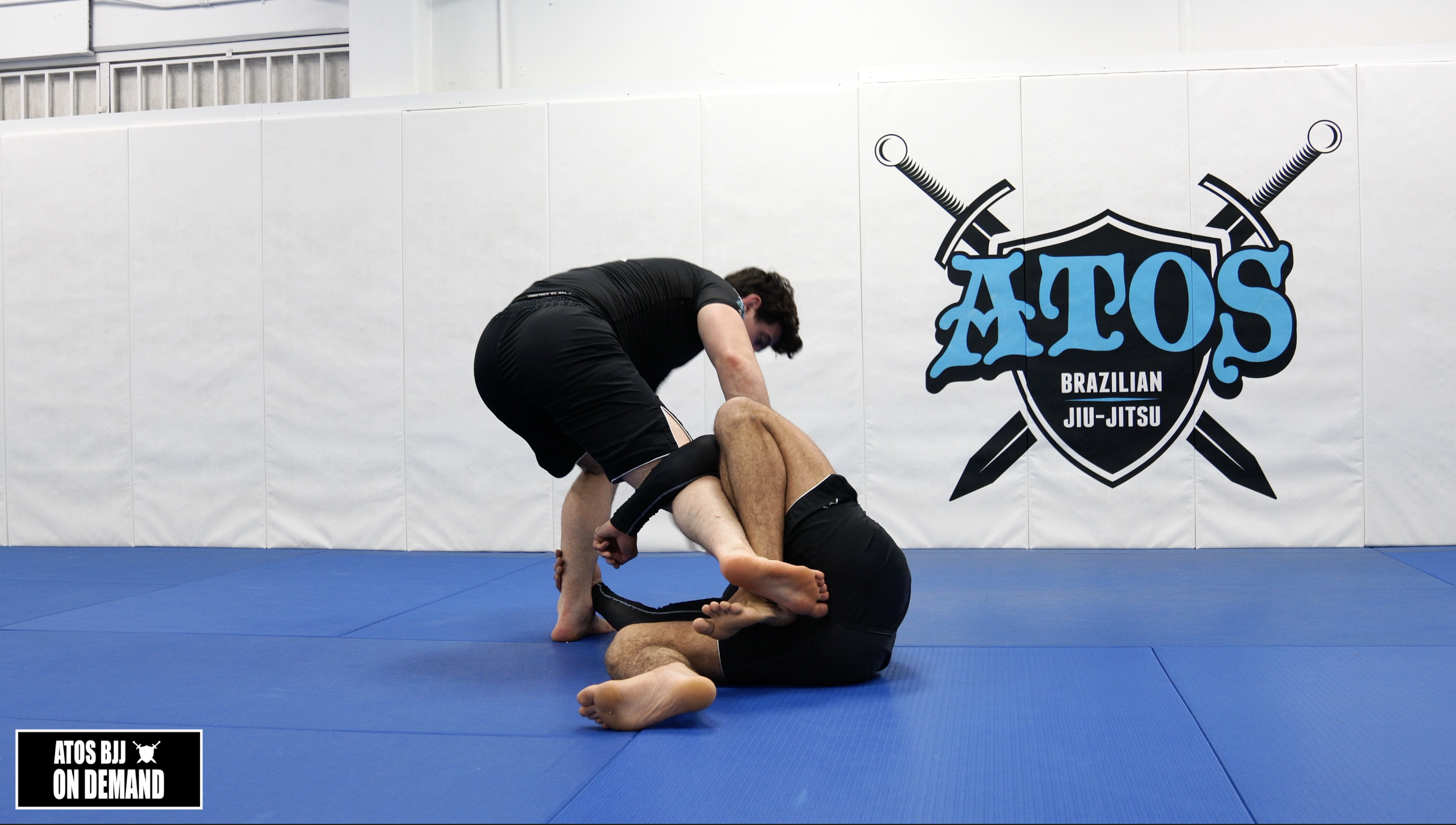 Shin-to-Shin Low Double Leg & Variations