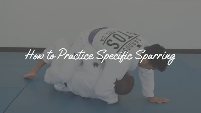 Day 4 - How To Practice Specific Sparring